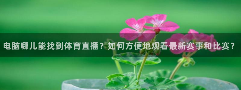 山猫足球比赛直播：电脑哪儿能找到体育直播？如何方便地观看最新赛事和比赛？