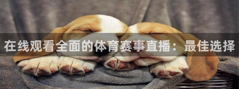 山猫免费体育赛事直播：在线观看全面的体育赛事直播：最佳选择