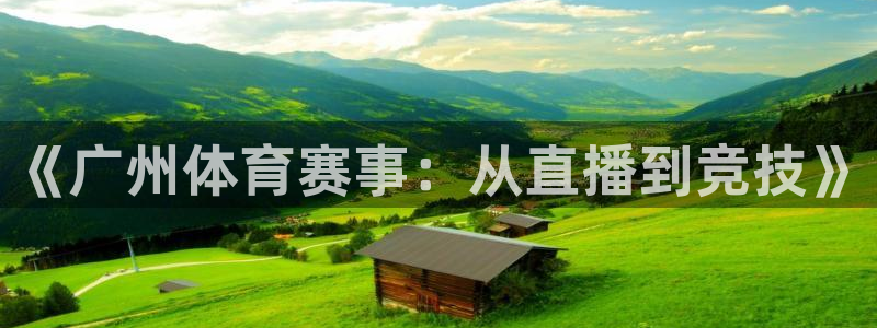 山猫体育赛事直播免费观看视频在线：《广州体育赛事：从直播到竞技》