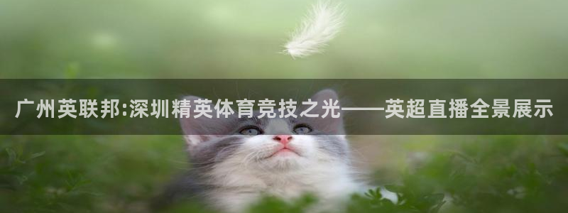 足球直播山猫：广州英联邦:深圳精英体育竞技之光——英超直播全景展示